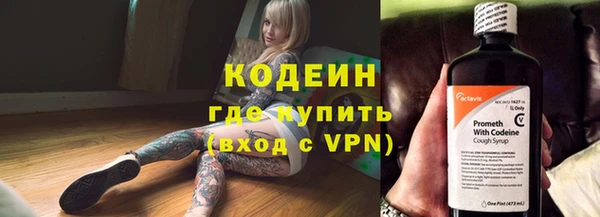 сатива Кодинск