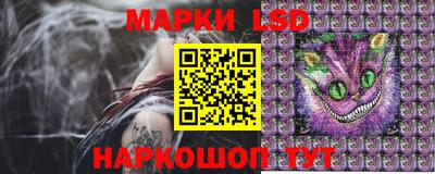 прущие грибы Беслан