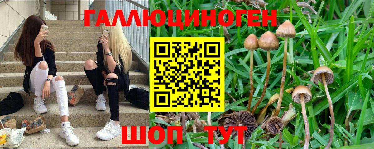 Домодедово  Галлюциногенные грибы MAGIC MUSHROOMS  Вход с VPN 