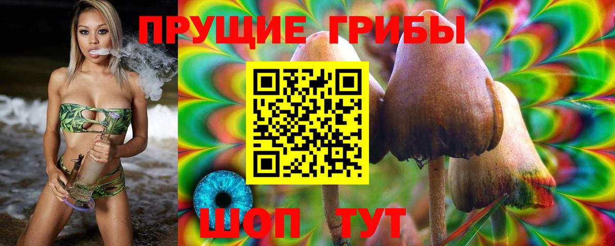 Псилоцибиновые грибы GOLDEN TEACHER  Галлюциногенные грибы Psilocybine cubensis  Домодедово 