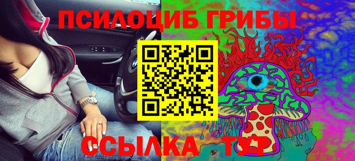 Псилоцибиновые грибы мицелий Домодедово